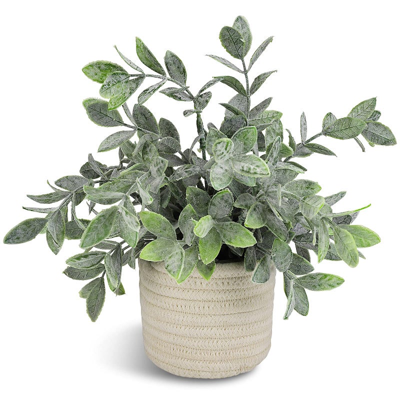 Hopewood Faux Plants, Small Fake Plant for Bathroom, Decorative Artificial Plants for Farmhouse Desk Shelf Decor with A Weave Basket (9.8inch) - Image 1