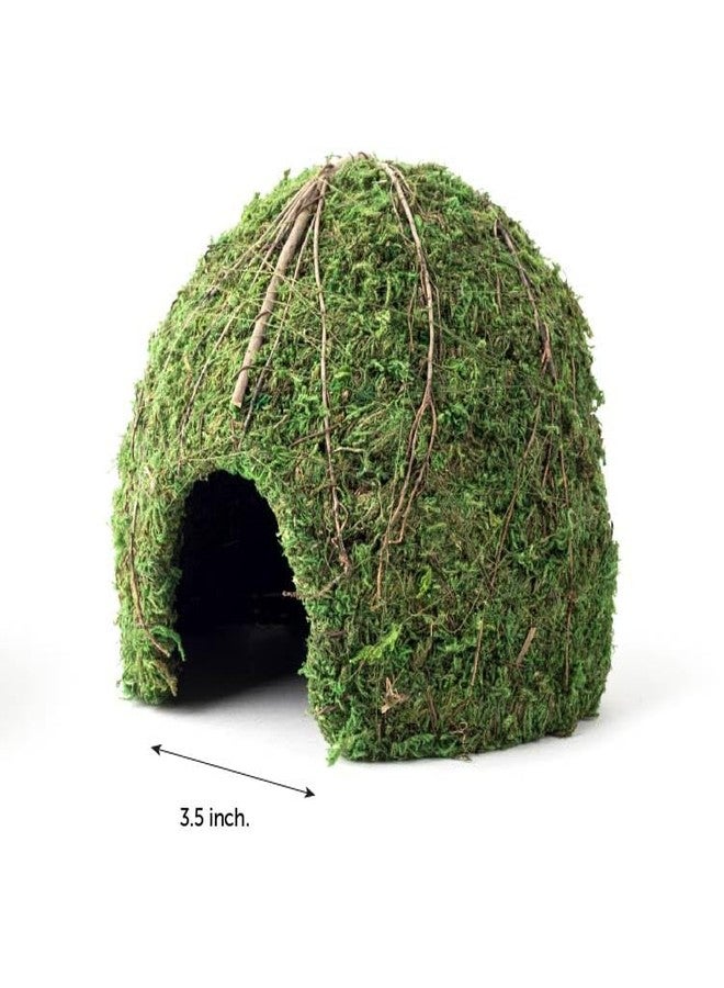 Galapagos Galápagos (05368) Mossy Dome Hide - Natural Corner Cave for Reptile Enclosures, Terrariums, and Tanks, 9", Vined Green Moss - Image 2