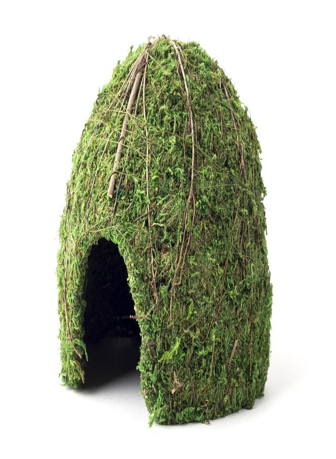 Galapagos Galápagos (05368) Mossy Dome Hide - Natural Corner Cave for Reptile Enclosures, Terrariums, and Tanks, 9", Vined Green Moss - Image 1