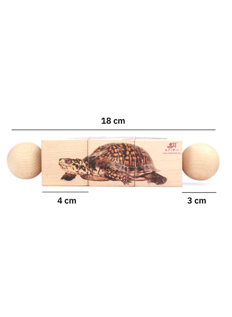Ariro Rotating Puzzle – Reptiles for Toddlers|Best Montessori Puzzle for 1yr Old boy and Girl|First Birthday Gift|Grasping Toy Age 18M+ - Image 5
