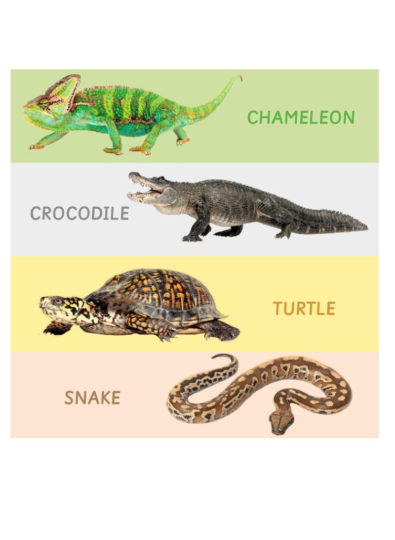 Ariro Rotating Puzzle – Reptiles for Toddlers|Best Montessori Puzzle for 1yr Old boy and Girl|First Birthday Gift|Grasping Toy Age 18M+ - Image 4