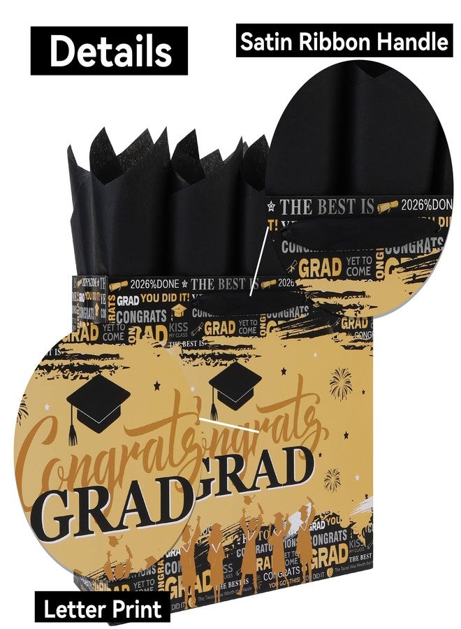 Qirrmiy 13'' Large Graduation Gift Bag Set with Handles, Greeting Card, Tissue Papers and Stickers for Men Women Girls Boys Kids Teens for Graduates, College, High School, Graduation Design, 1 Pcs - Image 4
