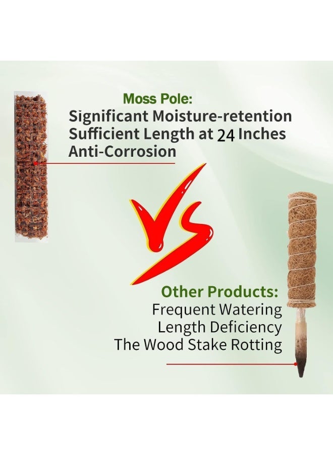 ChicAbode 6 Pcs 24 Inch Plastic Moss Pole for Plants Monstera, Plant Poles for Climbing Plants, Train Your Plants to Grow Upwards, Plant Support for Indoor Plants Work with Sphagnum Moss - Image 4