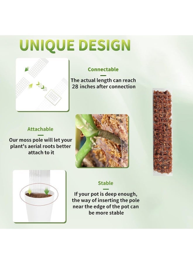 ChicAbode 6 Pcs 24 Inch Plastic Moss Pole for Plants Monstera, Plant Poles for Climbing Plants, Train Your Plants to Grow Upwards, Plant Support for Indoor Plants Work with Sphagnum Moss - Image 5