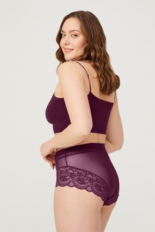 COTTONHILL Lace Detailed Transparent Plus Size Bikini Panties 3-Pack-2  - Image 2