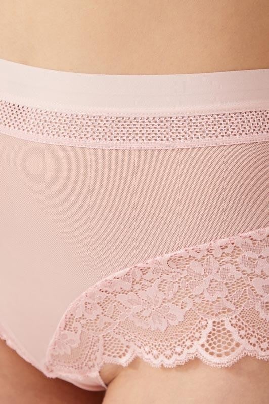 COTTONHILL Lace Detailed Transparent Plus Size Bikini Panties 3-Pack-2  - Image 5