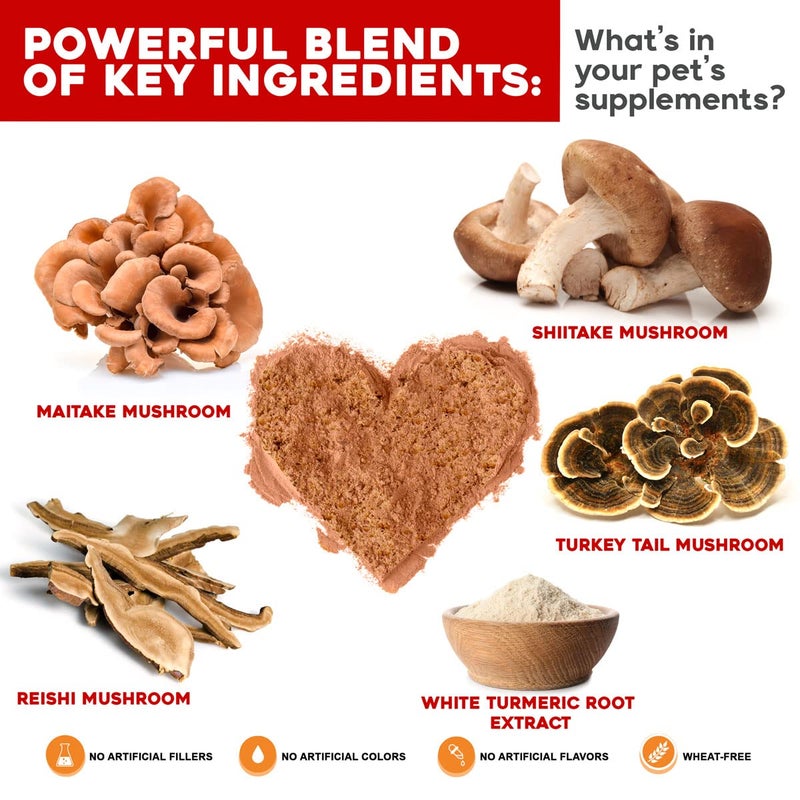 VetSmart Formulas Critical Immune Defense for Dogs & Cats; Supports Normal Cell Growth - Turkey Tail, Reishi, Shiitake and Maitake Mushroom Formula with Patented White Turmeric Root Extract - 30-Day Supply - Image 2