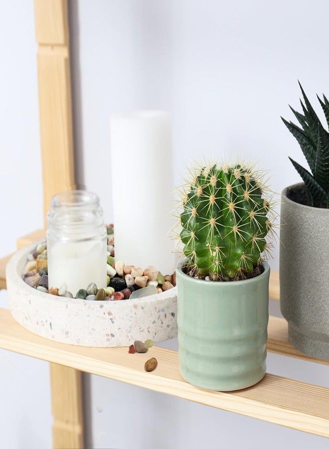 FANTIAN صخور صغيرة للنباتات العصارية من فانتيان، وزن 5 أرطال، حصى ملونة بحجم 3/8 بوصة للنباتات، صخور زخرفية للنباتات الداخلية، المزهريات، أحواض الزهور، وأحجار الحدائق الخارجية - Image 4