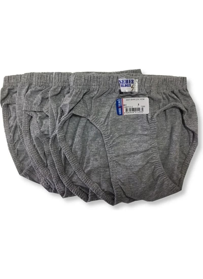 Seher 3 Pieces Gray Color Child Slip Briefs