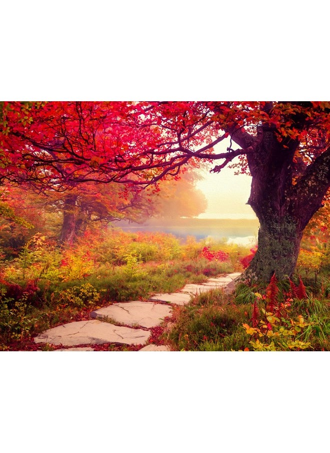 سبرينغبوك لغز الصور المقطوعة المكون من 1000 قطعة من Springbok's Stone Path هو صورة لا تُنسى لمحبي الألغاز الذين يبحثون عن ملاذ هادئ  - Image 1