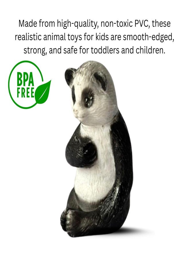 MALLEXO Realistic 12 PC Jungle Forest Animals Toys for Kids 3+ | Cute Farm Wild Zoo Animal Toy Playset Action Figurines for Boys and Girls Best Birthday Gift for Children Educational & Decoration Item - Image 2
