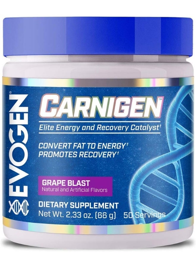 Evogen Nutrition مسحوق حرق الدهون كارنيجين كارنيتين تارترات أسيتيل-ل-كارنيتين - Image 1