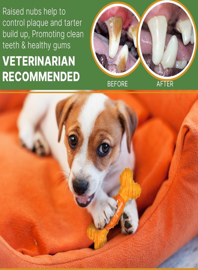SPOT Bam-Bones Dental Bone - Made with Bamboo Fiber and a Massaging Rubber Center, Durable Oral Care Dog Chew for Light Chewers & Teething Puppies Under 40lbs, 7in, Allergen Free Peanut Butter Flavor - Image 3