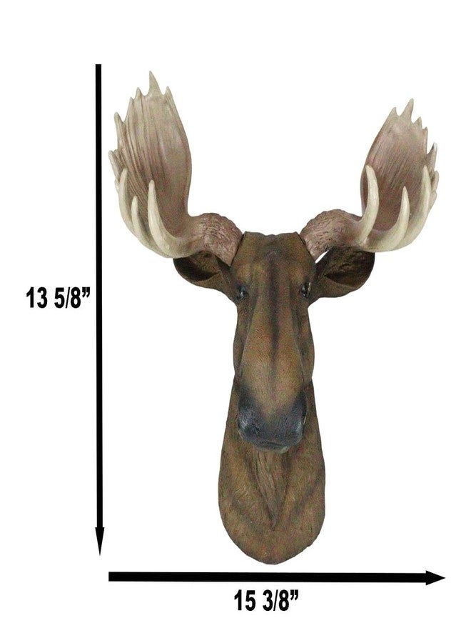 Ebros Gift Wildlife Taxidermy North American Granddaddy Bull Moose With Antlers Trophy Head Wall Decor 15.25" Wide Wall Mount Plaque Sculpture Figurine Antler Decor Rustic Western Hanging Accent - Image 3