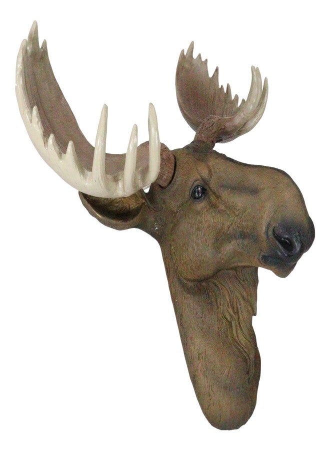 Ebros Gift Wildlife Taxidermy North American Granddaddy Bull Moose With Antlers Trophy Head Wall Decor 15.25" Wide Wall Mount Plaque Sculpture Figurine Antler Decor Rustic Western Hanging Accent - Image 4