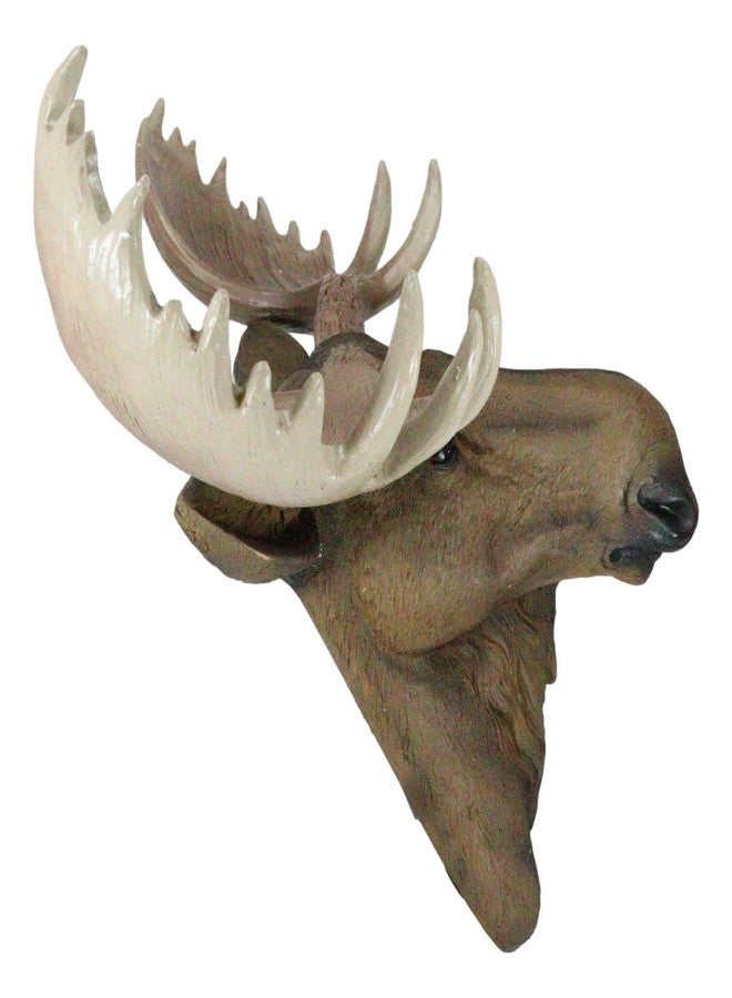 Ebros Gift Wildlife Taxidermy North American Granddaddy Bull Moose With Antlers Trophy Head Wall Decor 15.25" Wide Wall Mount Plaque Sculpture Figurine Antler Decor Rustic Western Hanging Accent - Image 5