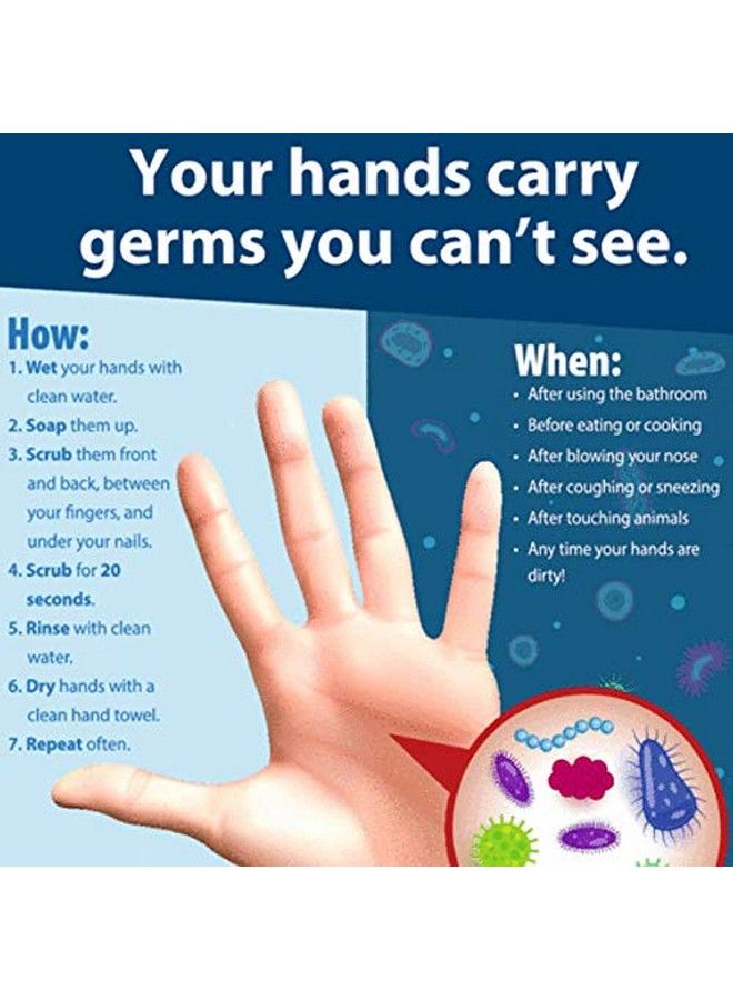 THE LOVE CO. Liquid Hand Wash Indian Rose Hand Wash For Soft Clean And Moisturized Hand Wash For Skin 300Ml - Image 5