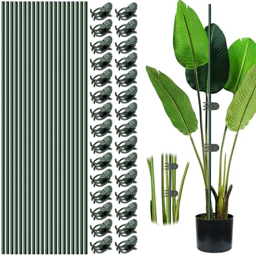 Vidroxin 10pcs 15.7" Plant Stakes with 15pcs Clips, Bendable Orchid Stakes and Clips Set Support Tall for Indoor/Outdoor Plants,Potted Plants,Single Stem Vines Flower Plant Support Sticks for Orchid Rose Peony - Image 1