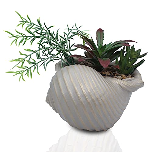Accessoryway Faux Succulents in Conch Sea Shell Home DecorCoastal Beach Decorations for Home Bathroom Ocean Seashell Decor Series for Home Beach Decor Theme Party Favors Without Drainage Hole 