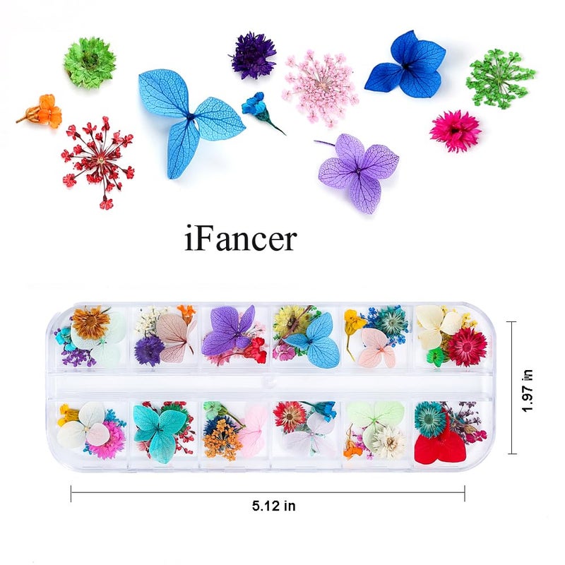 iFancer 108 Pcs Dried Flowers for Resin Nail Art 62 Colors 3D Dry Flowers for Nails 2 Boxes Small Tiny Dried Flowers for Nail Art Little Pressed Real Natural Flower Nail Art Design Decoration Supplies - Image 5