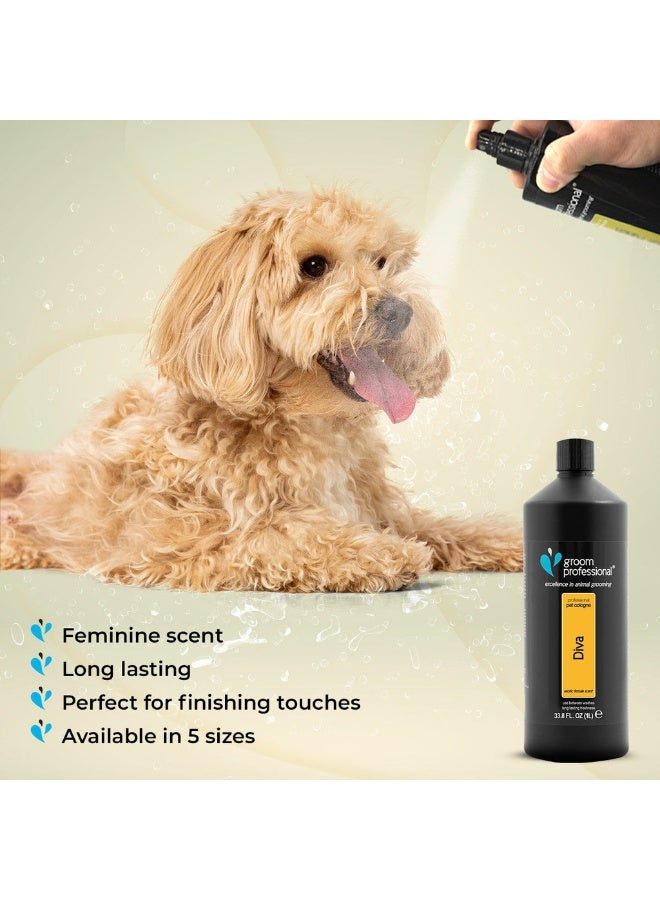 Groom Professional Diva Cologne (Perfume)[Flavor - Exotic Female Scent, Volume - 1L] - Image 4