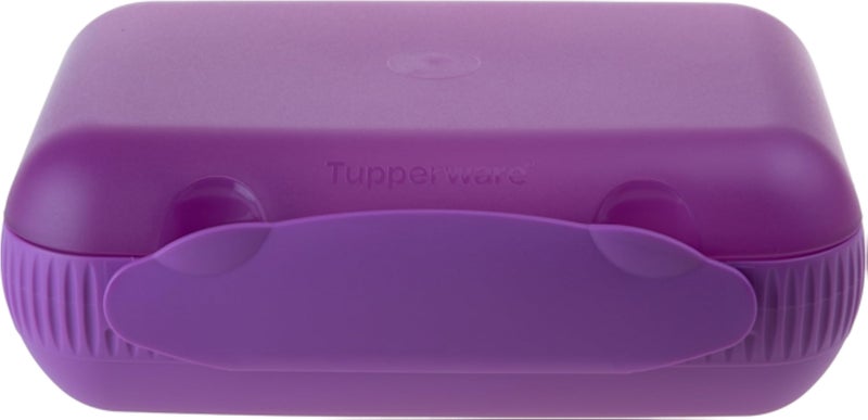 Tupperware Lunch Box with Divider Purple (Including 1 x Magnetic Caterpillar)