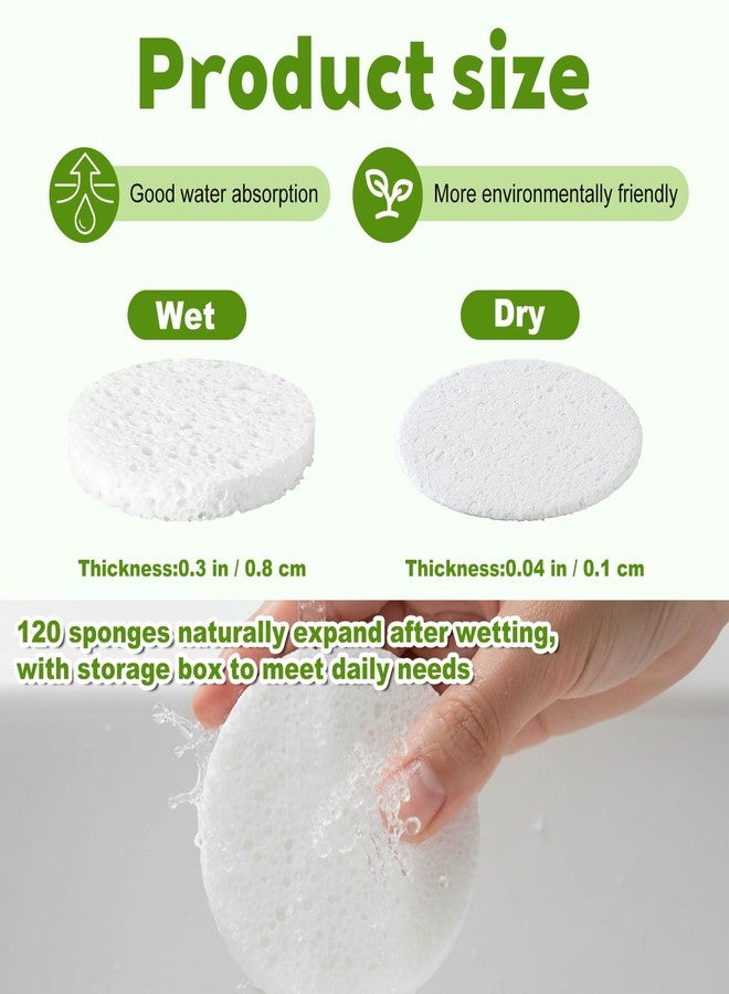 Oqqlin 120 Pcs Compressed Facial Sponges with Container, Disposable Round Face Sponge Pads Portable Makeup Removal Wash Sponges for Women Cleansing Makeup Spa (White) - Image 3