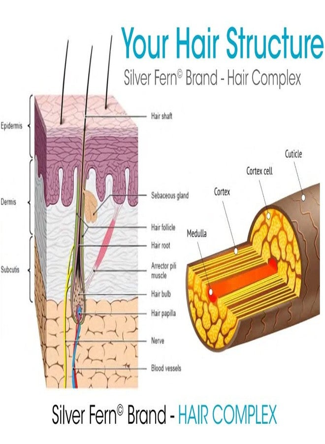 Silver Fern Hair Complex Hair Supplement - Each Bottle Contains a 30-Day Powder Supply - 1 Bottle - Image 3