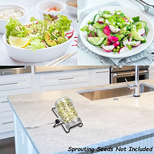 DOUBLE 2 C Sprouting Jar Kit, Wide Mouth Quart Mason Jars with Screen Sprout Lids & Stand, Seeds Germination Growing Kit, Seed Sprouter Set for Growing Organic Broccoli Alfalfa Mung Microgreens Bean (1Pack) - Image 2