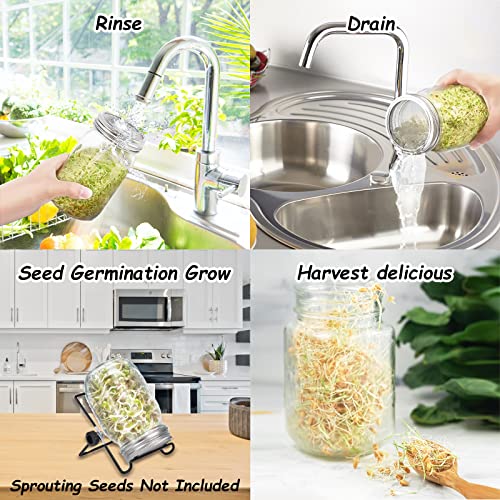 DOUBLE 2 C Sprouting Jar Kit, Wide Mouth Quart Mason Jars with Screen Sprout Lids & Stand, Seeds Germination Growing Kit, Seed Sprouter Set for Growing Organic Broccoli Alfalfa Mung Microgreens Bean (1Pack) - Image 3
