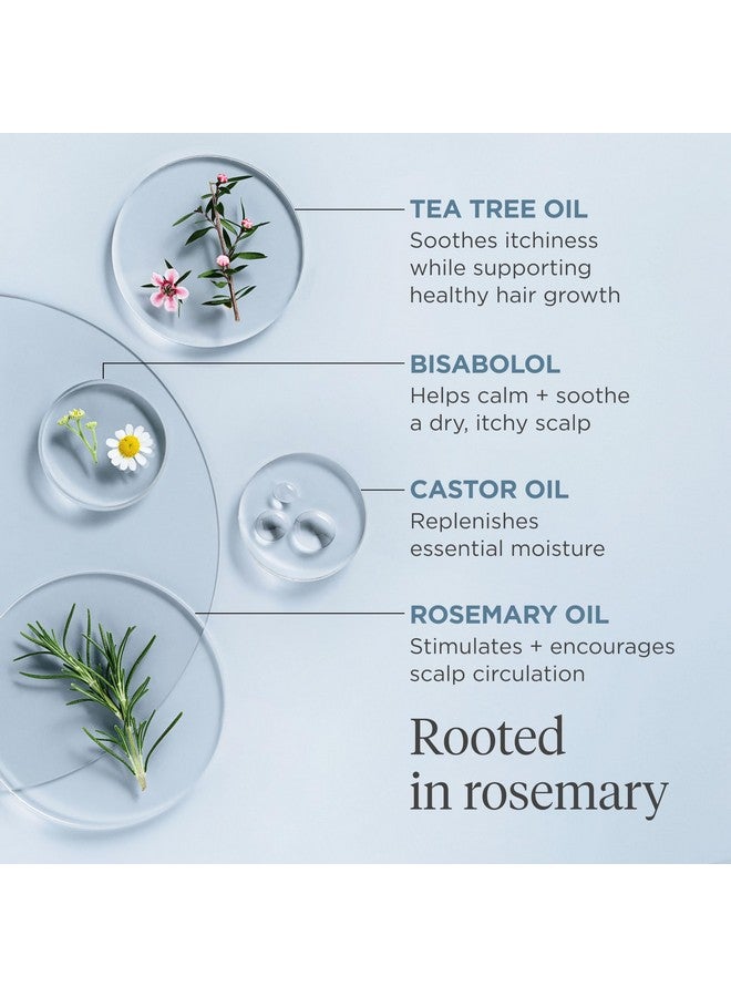 بريوجيو زيت بريوجيو سكالب ريفايفال روزماري قبل الغسيل، للشعر وفروة الرأس، علاج لفروة الرأس الجافة لشعر أقوى وأطول، يهدئ فروة الرأس الجافة، الدهون والفيتامينات، ترطيب عميق، نباتي، خالٍ من القسوة، 3.4 أونصة سائلة - Image 5