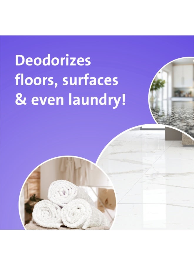 loyal معطر منزلي متعدد الاستخدامات لافندر ونرجس بنفسجي 700 مل - Image 2