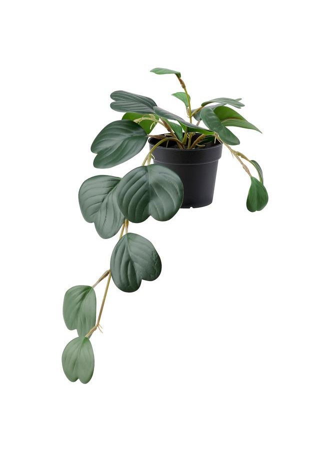 Zaboon Artificial Potted Plant, In/Outdoor Hanging/Peperomia, 9 Cm  - Image 1