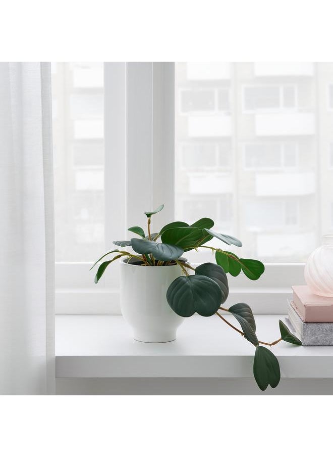 Zaboon Artificial Potted Plant, In/Outdoor Hanging/Peperomia, 9 Cm  - Image 3
