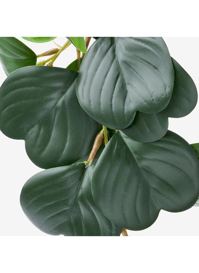 Zaboon Artificial Potted Plant, In/Outdoor Hanging/Peperomia, 9 Cm  - Image 4