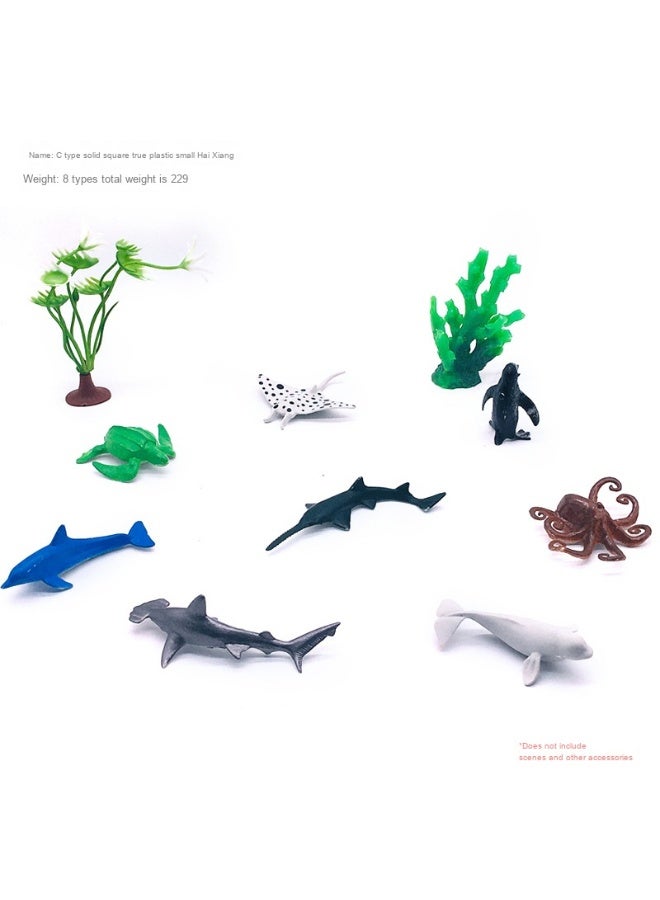 نيبمينينت لعبة نماذج الحيوانات البحرية الصغيرة - 56 نوعًا من الحيوانات الصلبة