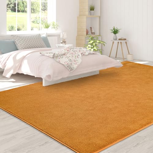 FlyDOIT Area Rugs for Bedroom Living Room, 4x6 Orange Super Soft Comfy Thickened Memory-Foam Indoor Carpets, Modern Aesthetic Minimalist Carpet for Boys Girls Adults Apartment Nursery Home Décor - Image 4