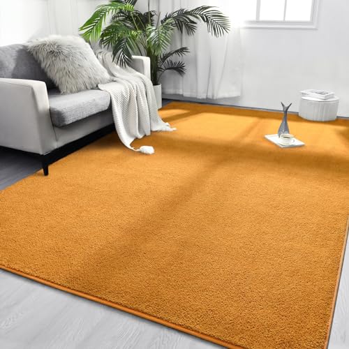 FlyDOIT Area Rugs for Bedroom Living Room, 4x6 Orange Super Soft Comfy Thickened Memory-Foam Indoor Carpets, Modern Aesthetic Minimalist Carpet for Boys Girls Adults Apartment Nursery Home Décor - Image 1