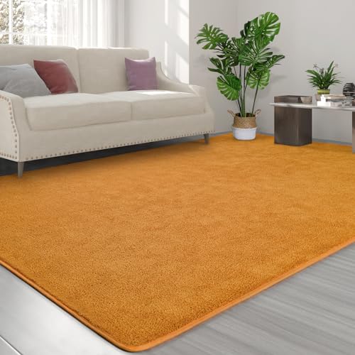 FlyDOIT Area Rugs for Bedroom Living Room, 4x6 Orange Super Soft Comfy Thickened Memory-Foam Indoor Carpets, Modern Aesthetic Minimalist Carpet for Boys Girls Adults Apartment Nursery Home Décor - Image 3