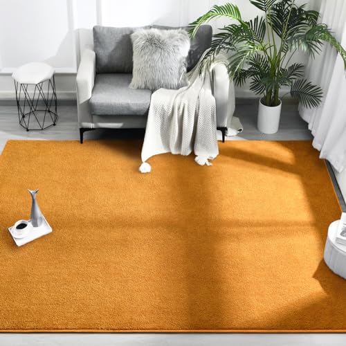 FlyDOIT Area Rugs for Bedroom Living Room, 4x6 Orange Super Soft Comfy Thickened Memory-Foam Indoor Carpets, Modern Aesthetic Minimalist Carpet for Boys Girls Adults Apartment Nursery Home Décor - Image 2