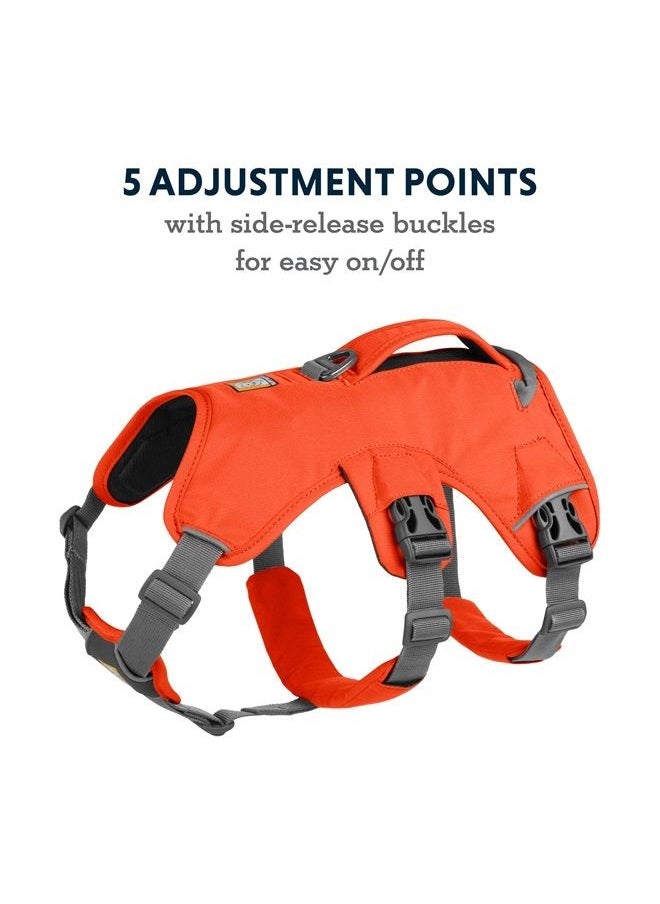 RUFFWEAR , Web Master, Multi-Use Support Dog Harness, Hiking and Trail Running, Service and Working, Everyday Wear, Blaze Orange, XX-Small  - Image 3