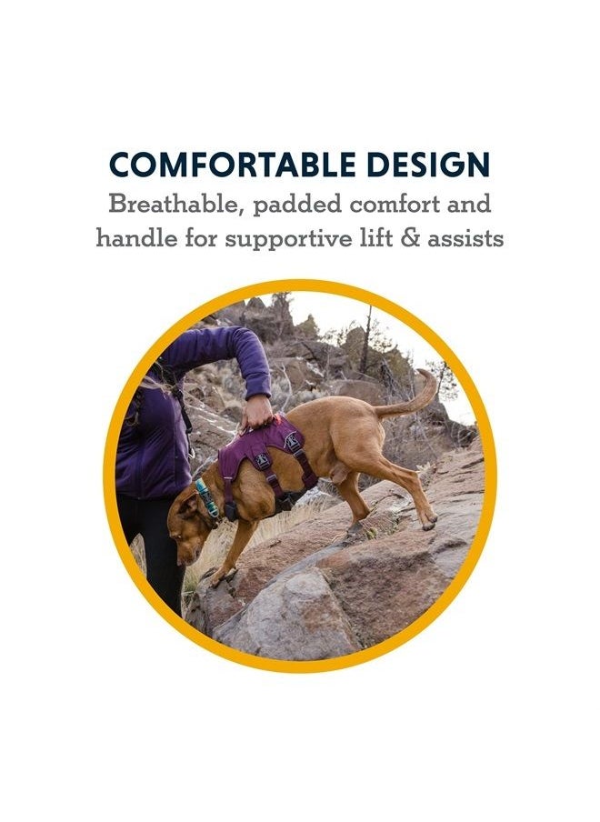 RUFFWEAR , Web Master, Multi-Use Support Dog Harness, Hiking and Trail Running, Service and Working, Everyday Wear, Blaze Orange, XX-Small  - Image 1