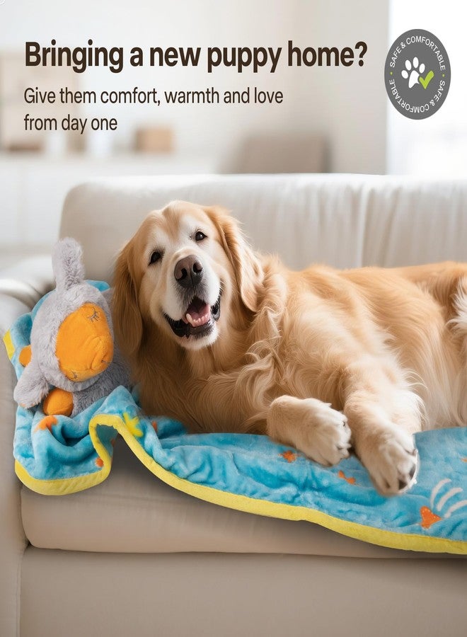 all for paws Puppy Essentials Starter Kit - New Born Dog Toys Gifts Heartbeat Puppy for Dogs, Teething Toys, Heat Packs & Cozy Blanket for Crate Training & Anxiety Relief - Image 2