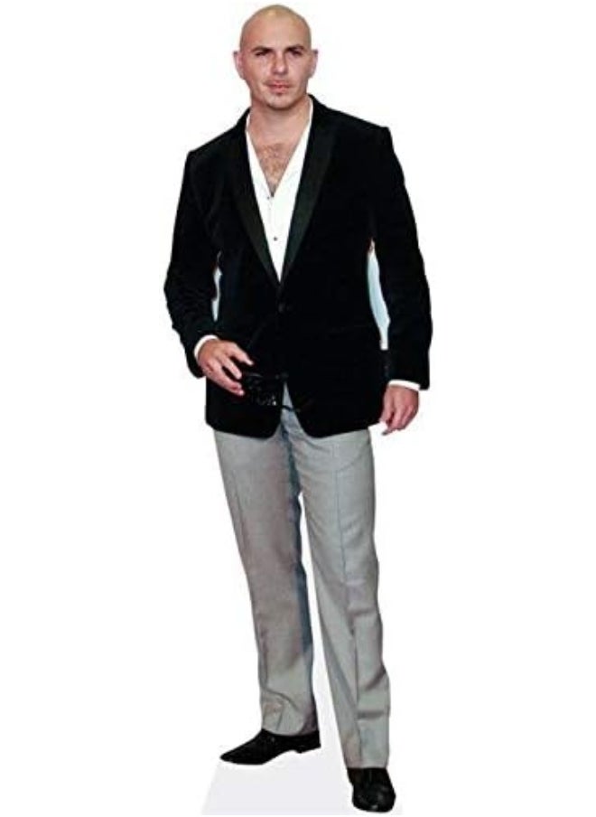 Generic Celebrity Cutouts Pitbull Mini Size  - Image 2