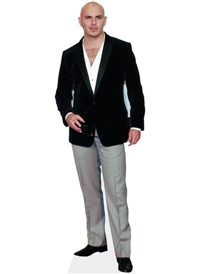 Generic Celebrity Cutouts Pitbull Mini Size  - Image 1
