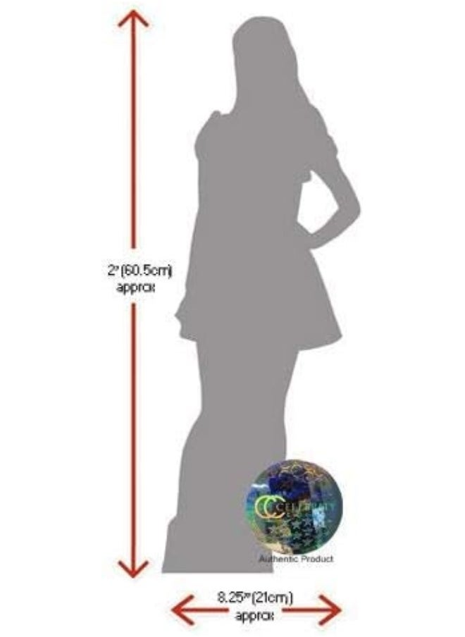Generic Celebrity Cutouts Pitbull Mini Size  - Image 3