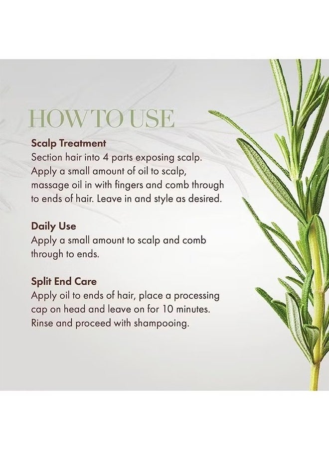 Generic - Rosemary Mint Scalp & Hair Strengthening Oil 59 ml，Promotes Hair Eyebrow and Eyelash Growth for Men and Women - Image 1