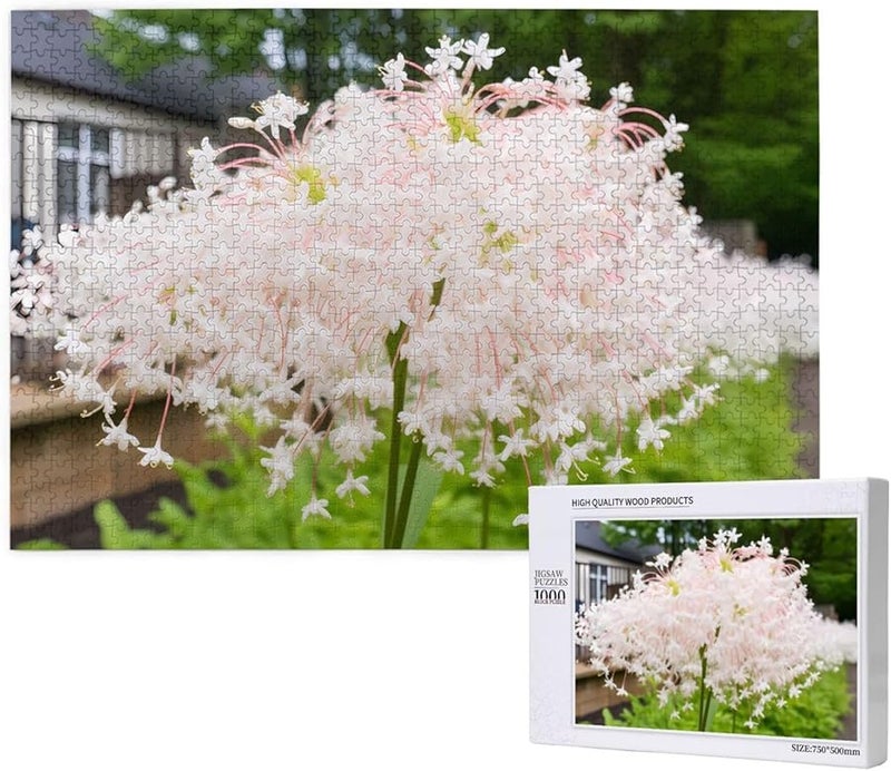 Phayah White Money Flower 1000 قطعة لغز للكبار ديكور المنزل هدية 29.5 × 19.7 بوصة - Image 1