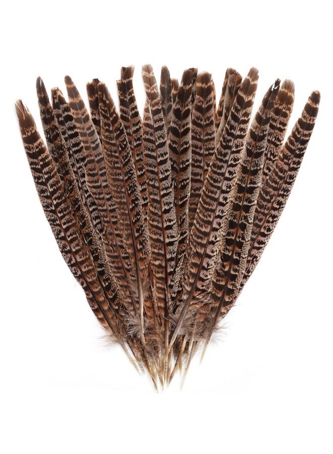 obmwang 27Pcs 25-30cm Natural Pheasant Feathers for DIY Craft Wedding Home Party Decorations - Image 1