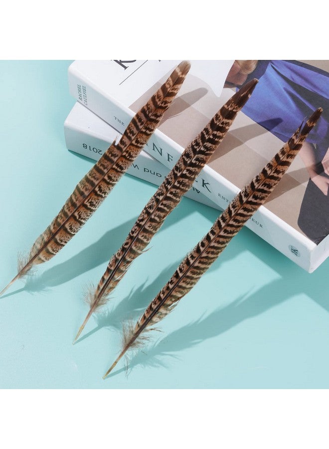 obmwang 27Pcs 25-30cm Natural Pheasant Feathers for DIY Craft Wedding Home Party Decorations - Image 4